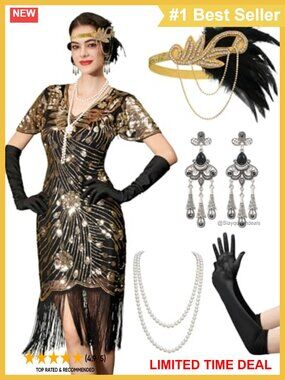 1920s Flapper Sequin Fringe Costume Dress V-Neck Knee Length Adult